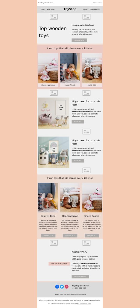 Email template preview of template: Wooden Toys store
