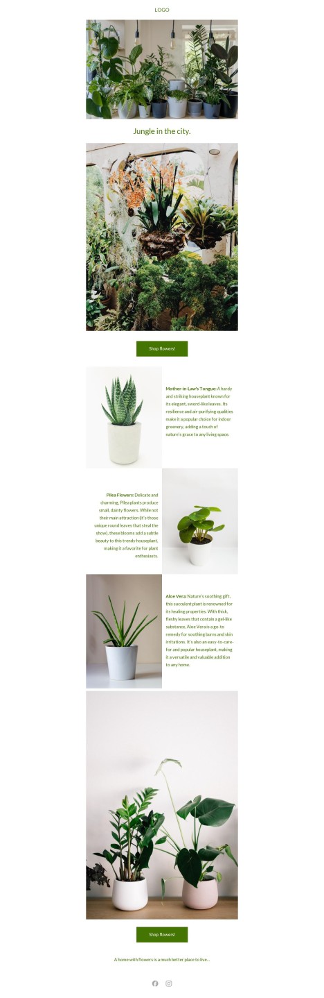 Email template preview of template: Jungle in the city article