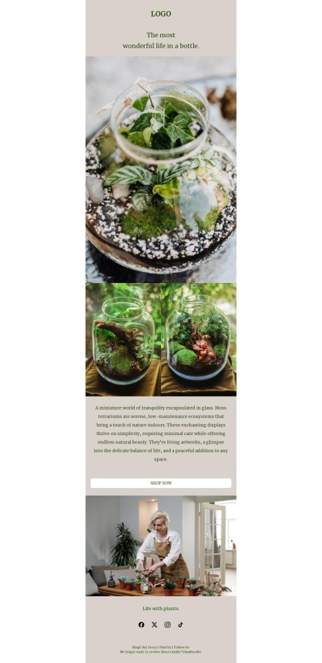 Email template preview of template: Wonderful life in a bottle