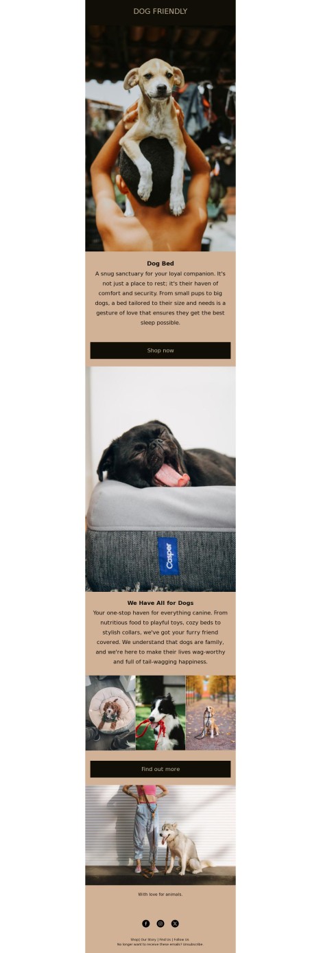 Email template preview of template: Dog friendly