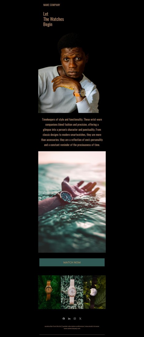 Email template preview of template: Watch shop