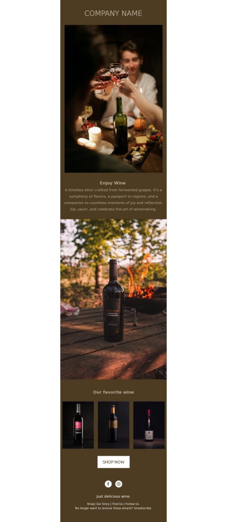 Email template preview of template: Wine product shop