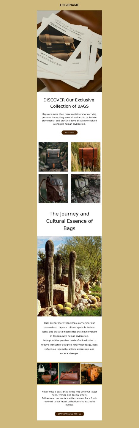 Email template preview of template: Collection of BAGS