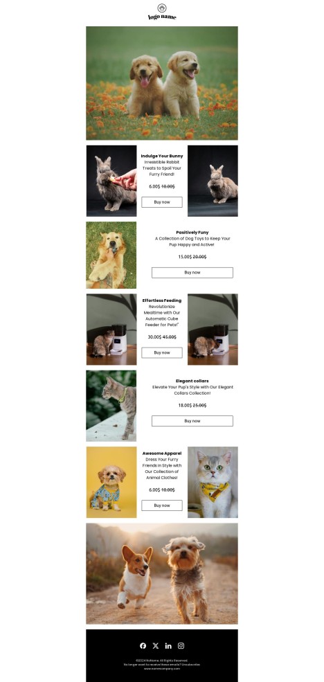 Email template preview of template: Products for pets