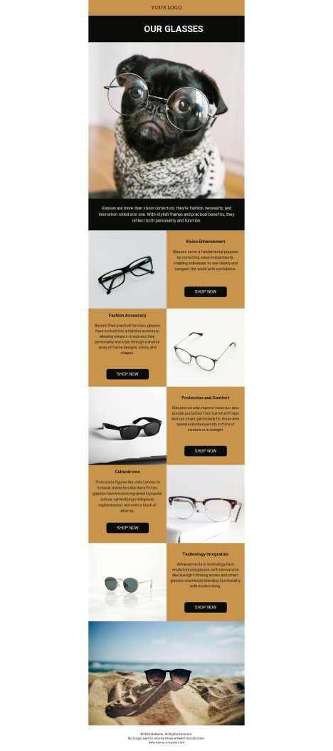 Email template preview of template: Design glasses