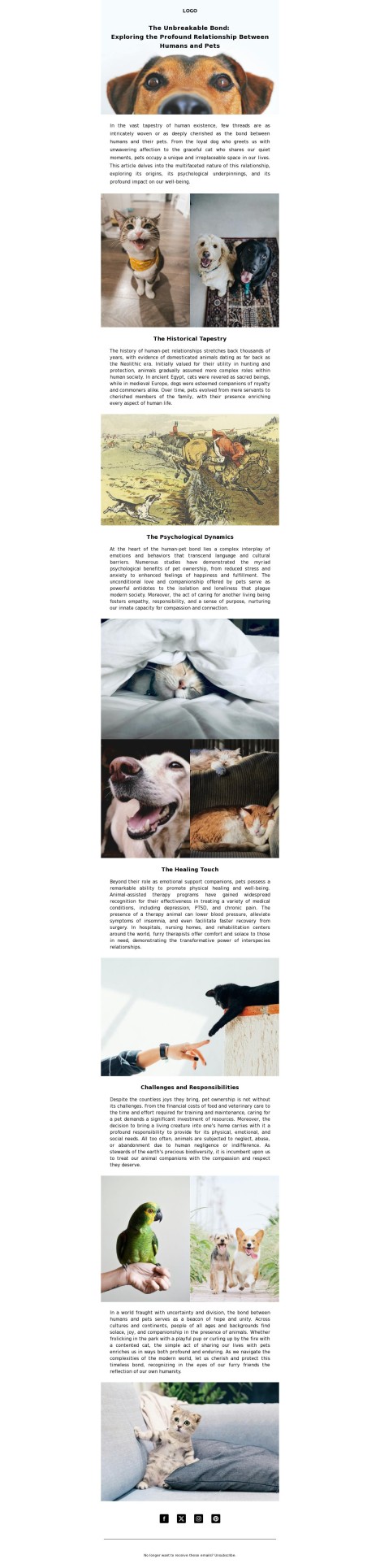 Email template preview of template: Article about our pets