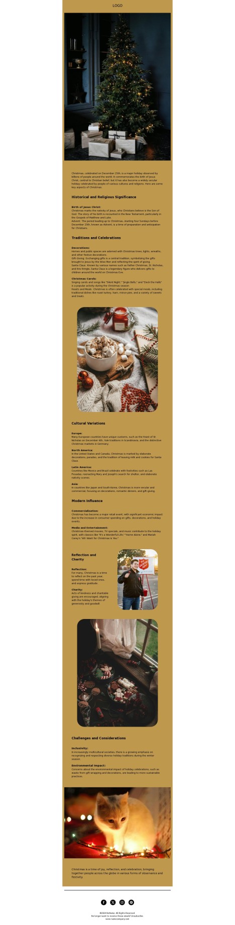 Email template preview of template: Christmas celebrations