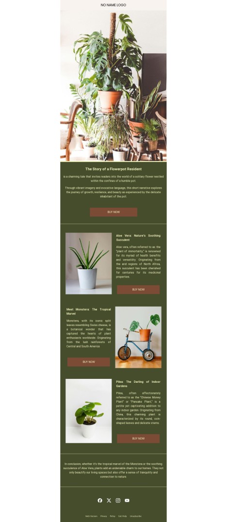 Email template preview of template: Flowers at home
