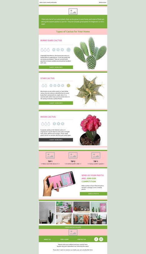 Email template preview of template: Cactus Eshop