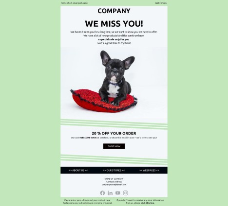 Email template preview of template: Win-Back Email Template
